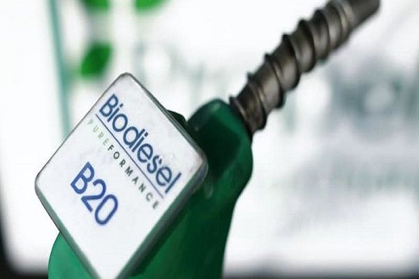 Biodiesel_Reuters-Mike Blake